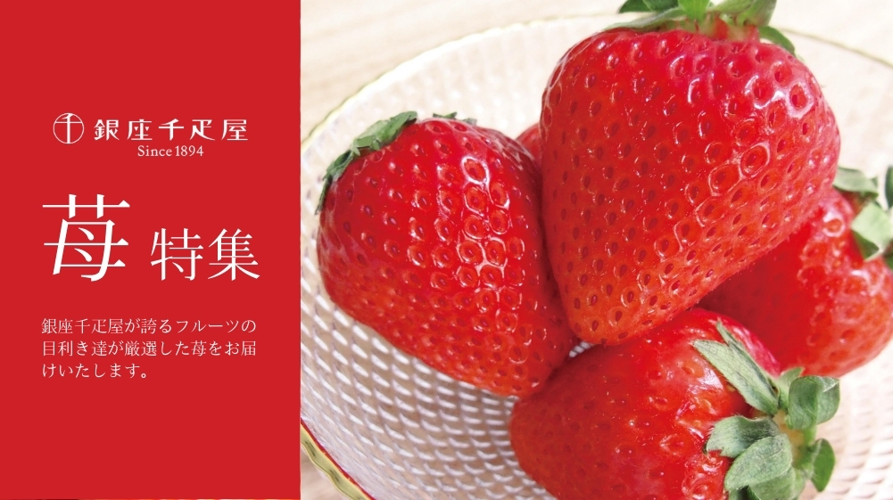 苺特集