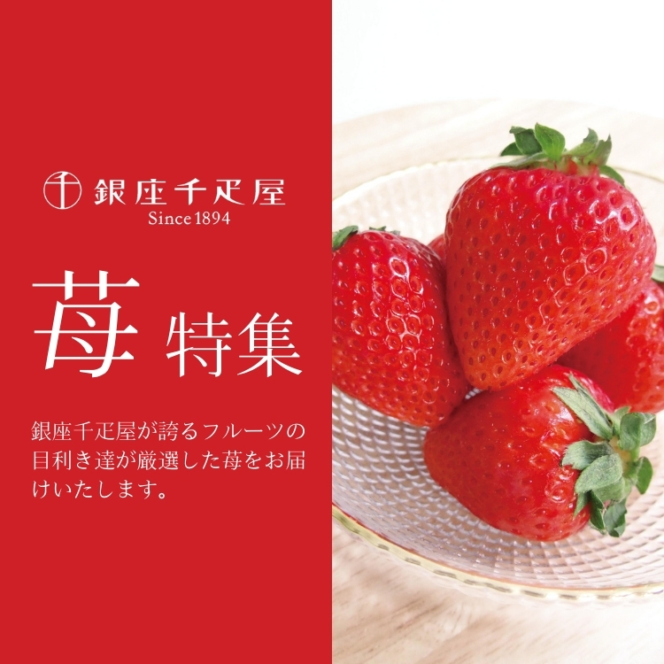 苺特集