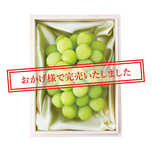 アレキサンドリア(桐箱) No8