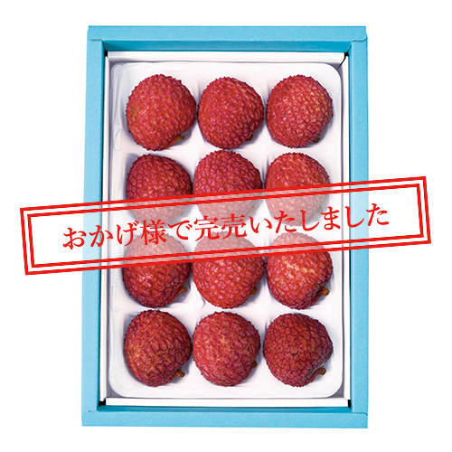 国産ライチ12個入り No17