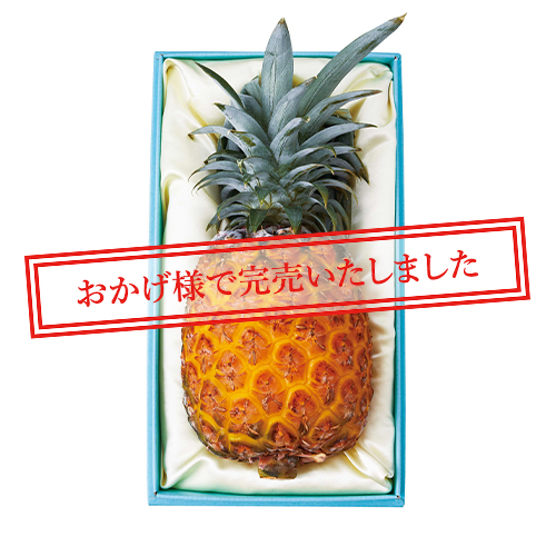 ゴールドバレル1本(パイナップル)完売