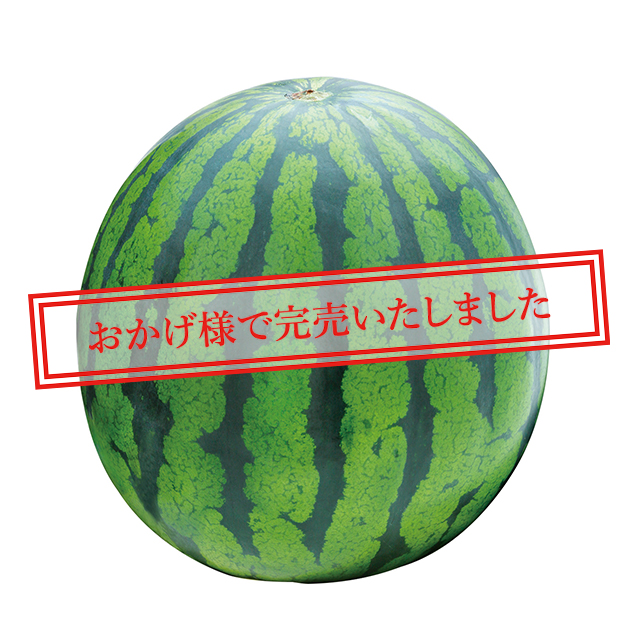 すいか No16