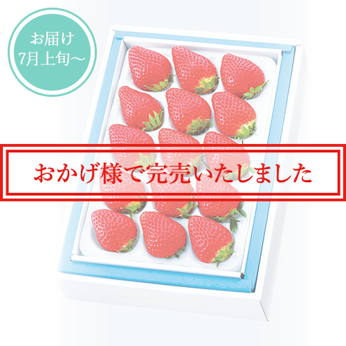 苺 夏瑞(なつみずき)12~15入 No18