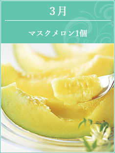 3月 静岡県産マスクメロン1個