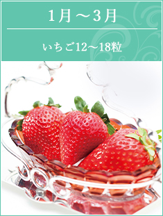 1-3月　いちご(12～18粒)