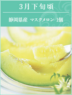 3月下旬頃　静岡県産マスクメロン1個