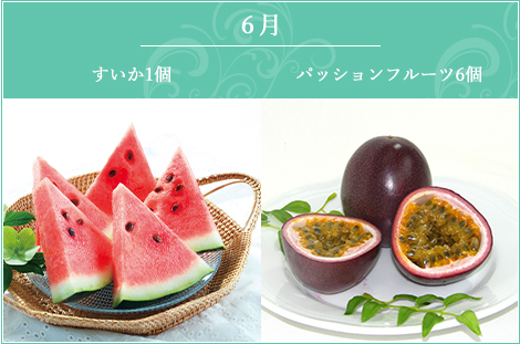 6月 すいか・パッションフルーツ6ヶ入り