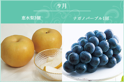 9月 恵水5ヶ入り・ナガノパープル