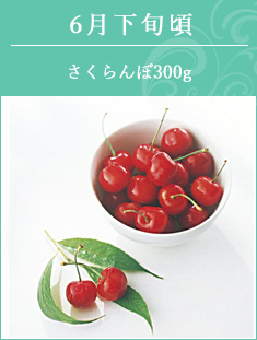 6月下旬頃　さくらんぼ佐藤錦 300g