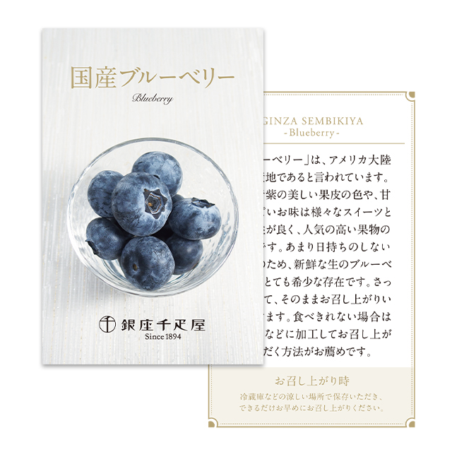 果物リーフレット