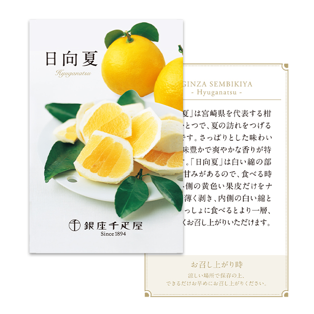 果物リーフレット