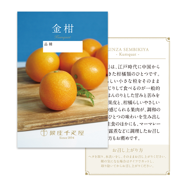 果物リーフレット