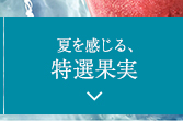 人気ランキングから探す