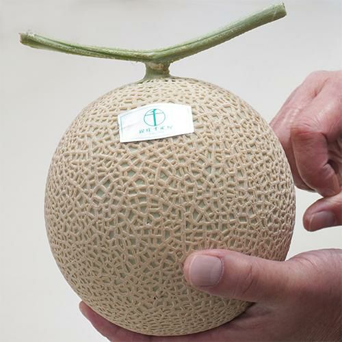 マスクメロン（桐箱）1個入（約1.4kg） No28 | 銀座千疋屋