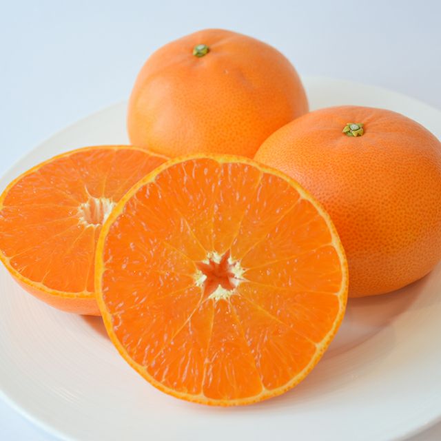 せとか5個入 | 銀座千疋屋オンラインショップ 1894年創業の老舗果物