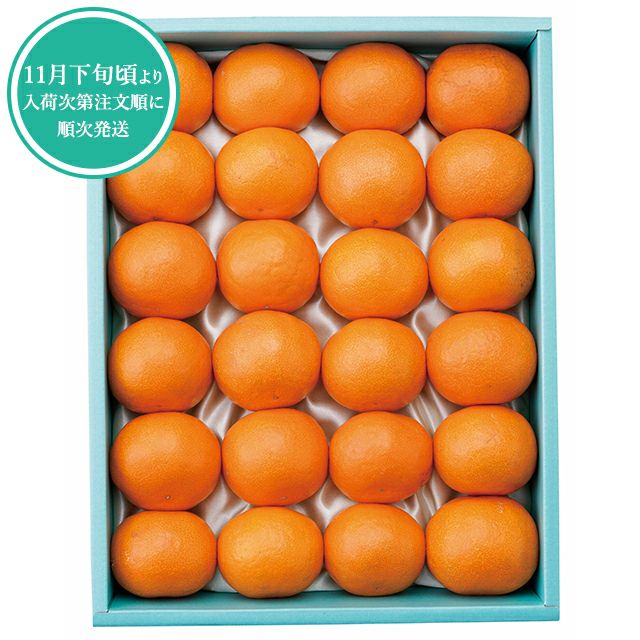 温州みかん24個入 No16 | 銀座千疋屋オンラインショップ 1894年創業の